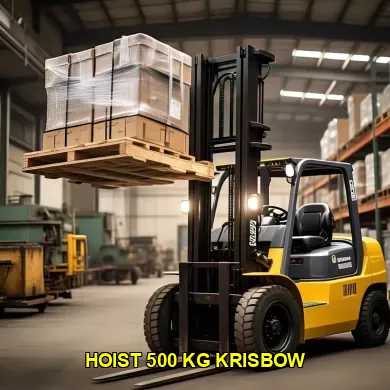 Harga Hoist 500 Kg Krisbow untuk Kebutuhan Proyek Anda